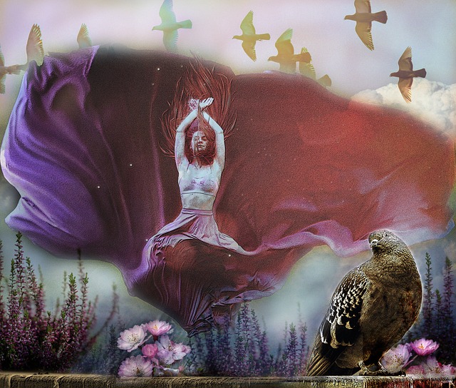 他的加盟能 他的加盟能