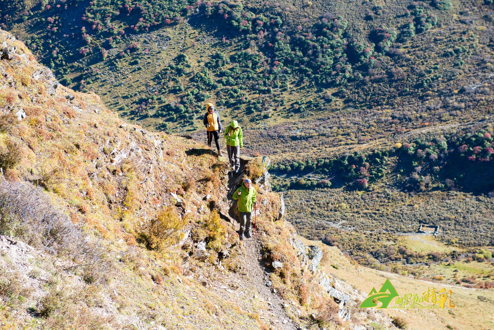 不断锤炼自 不断锤炼自
